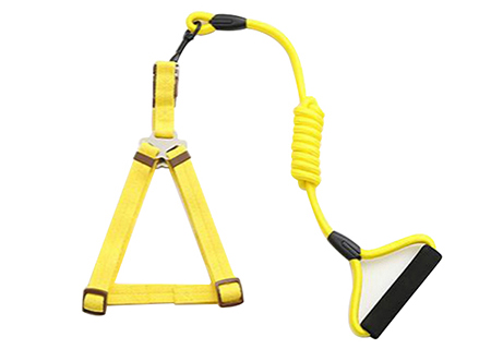 Dog Harness Leash