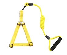 Dog Harness Leash